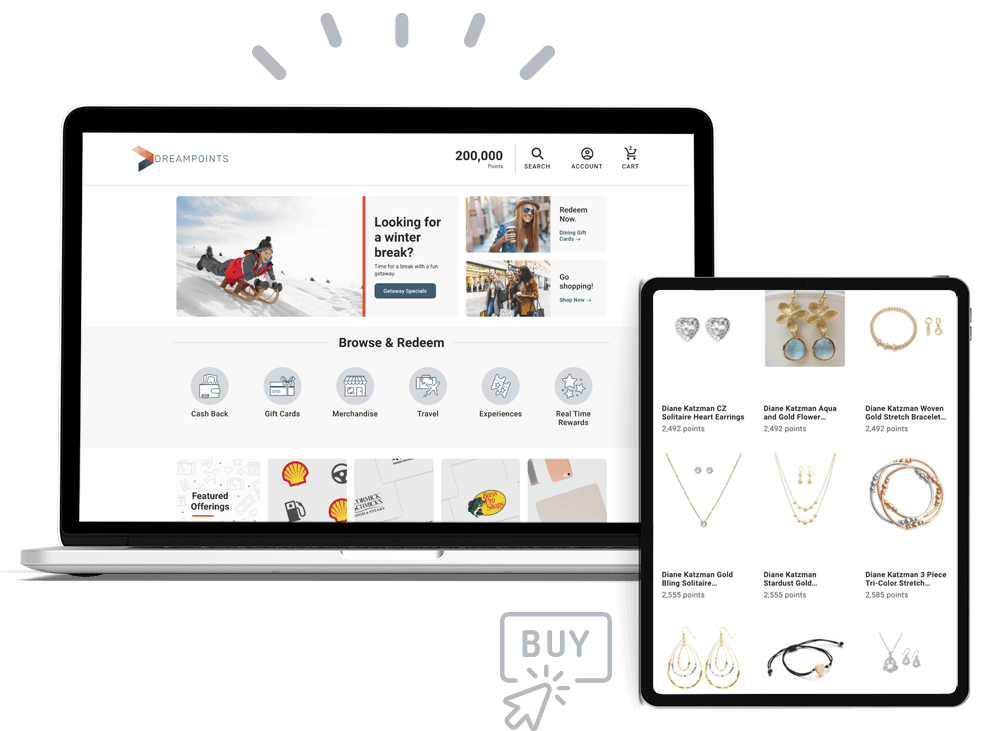 Dreampoints Website Customization